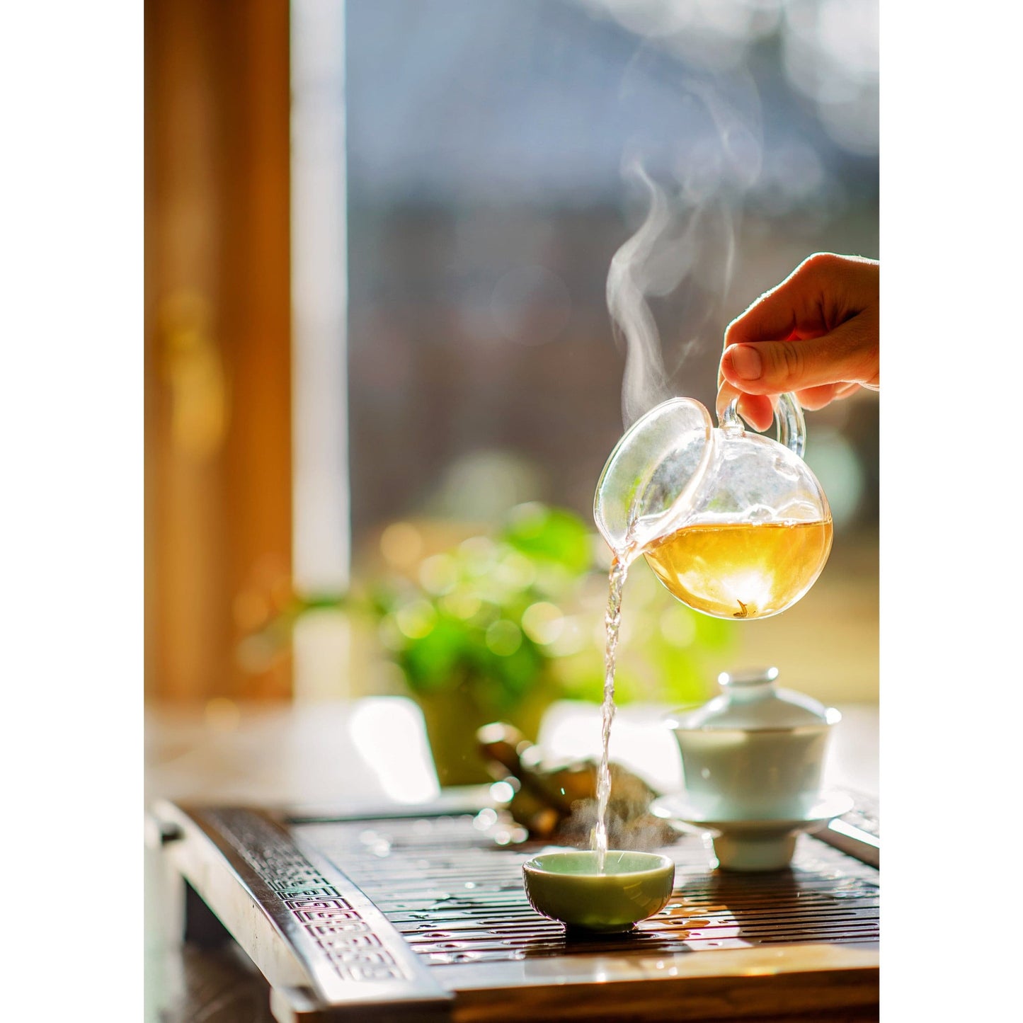 Teabalmy Tieguanyin Oolong Tea | Tie Guan Yin Oolong Iron Goddess of Mercy Oolong Tea Summer Cut.