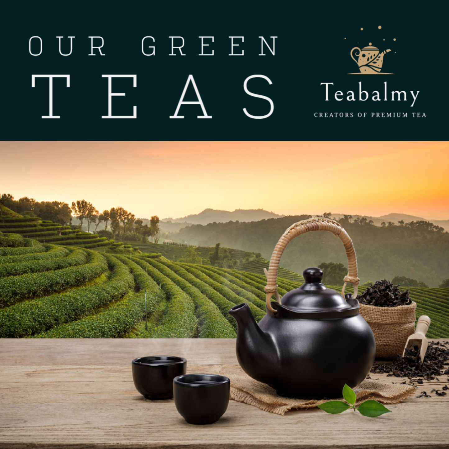 Teabalmy Jasmine Spring Green Tea Leaves With An Intoxicating Aroma.