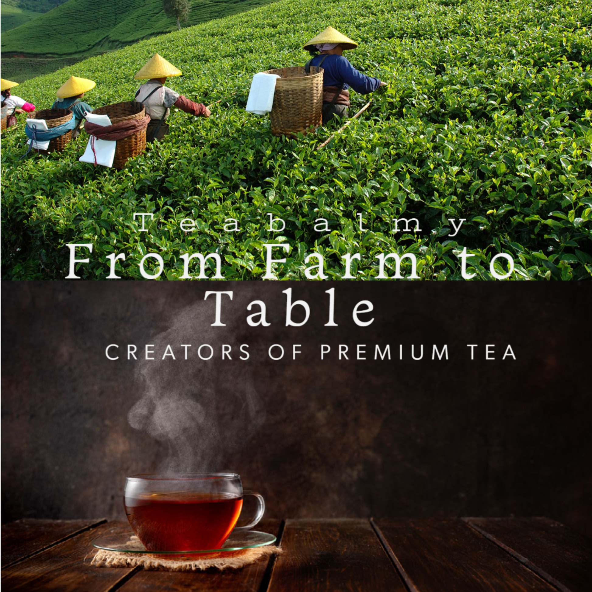 Teabalmy Premium Tea White Peony Loose Leaf Tea | Organically Grown.