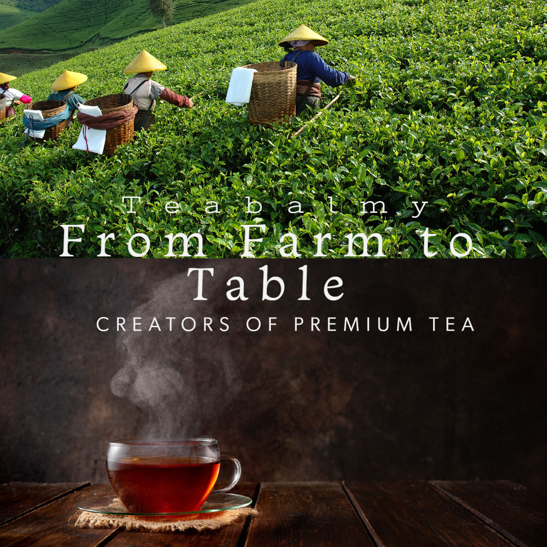 Teabalmy Sencha Loose Leaf Tea | Organicaly Grown High Grade Sencha Green Tea | Refreshing Premium Tea Sencha.